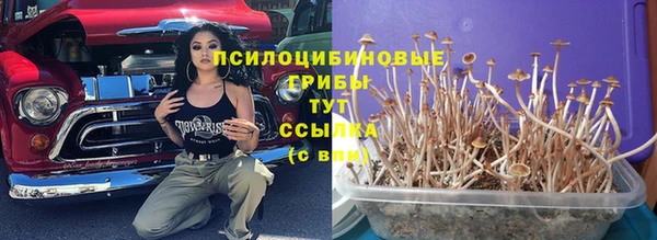 круглые Верхний Тагил