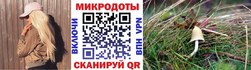 omg ТОР  что такое   Вышний Волочёк  Галлюциногенные грибы GOLDEN TEACHER 